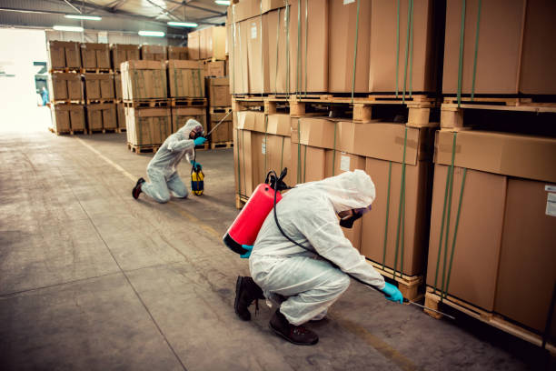 Best Emergency Pest Control  in Hopkinsville, KY