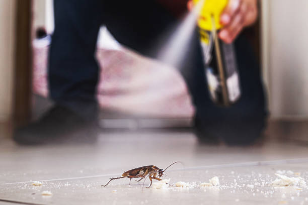 Pest Prevention Services in Hopkinsville, KY